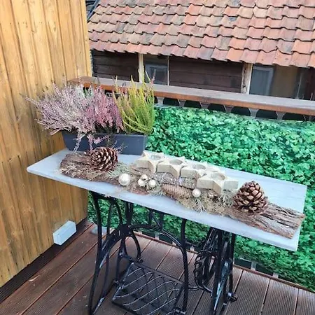 Harzbiene Appartement