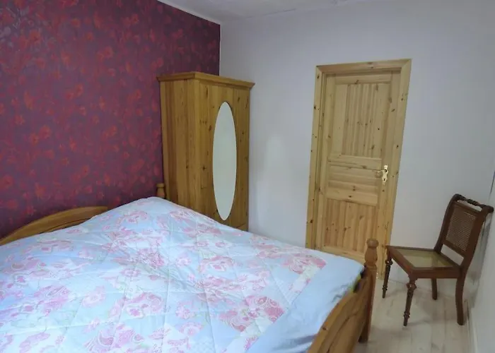 Apartmán Harzbiene *